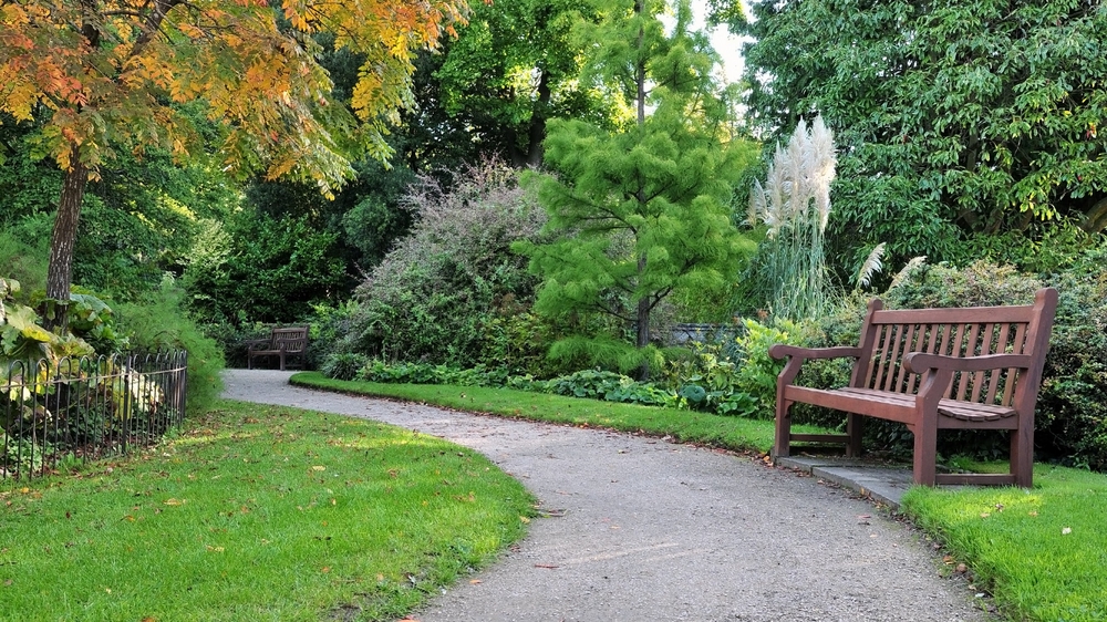 View Of A Peaceful Garden